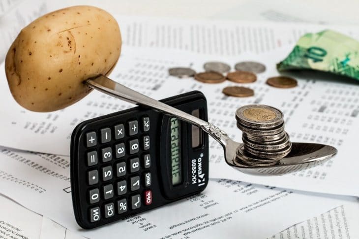 Pouvoir d’achat des ménages : en quoi l’euro pourrait-il être important ?