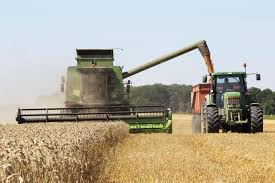 Les travaux agricoles d’été
