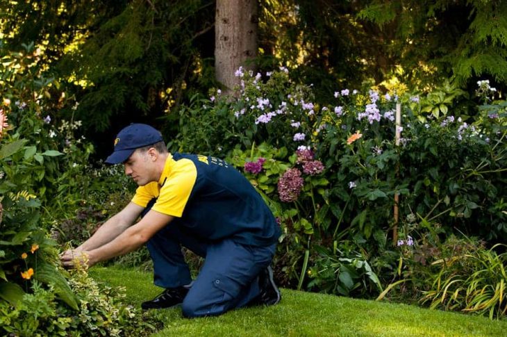 métiers en jardinage