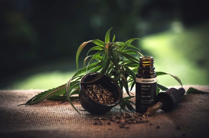 CBD : quelles sont les formes légalement vendues en France ?