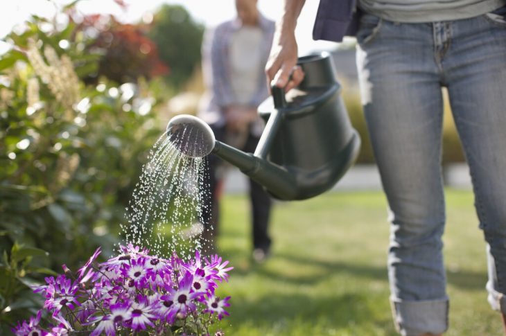 arrosage efficace de son jardin