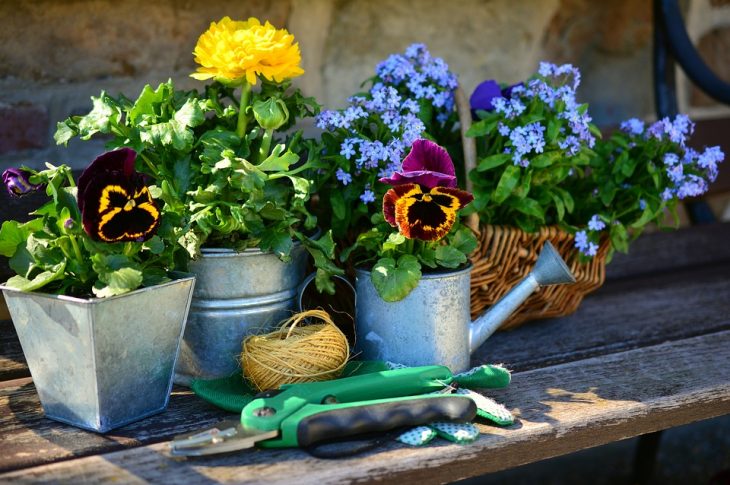 Les conseils pratiques pour aménager et décorer un petit jardin