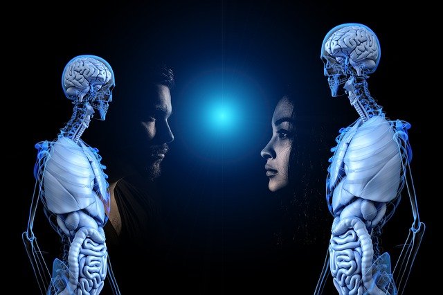 articulations