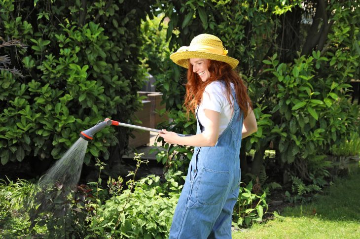 aider son jardin à faire face à la canicule