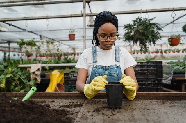 Travaux de jardinage : ce qu’il faut savoir sur l’utilisation du terreau
