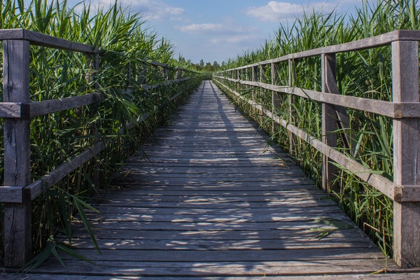 balustrade en bois
