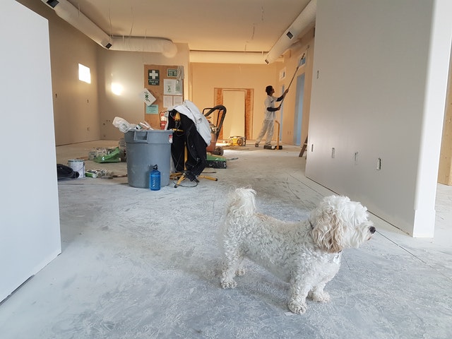 rénovation