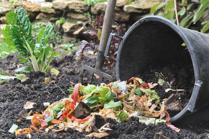 À quoi sert le compost et comment s'en servir ?