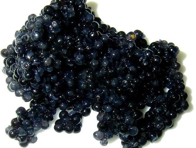 Voici quelques informations préalables pour bien déguster son caviar