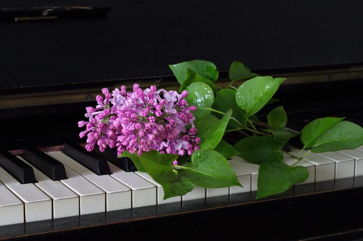 Comment choisir la meilleure chanson pour un enterrement ?