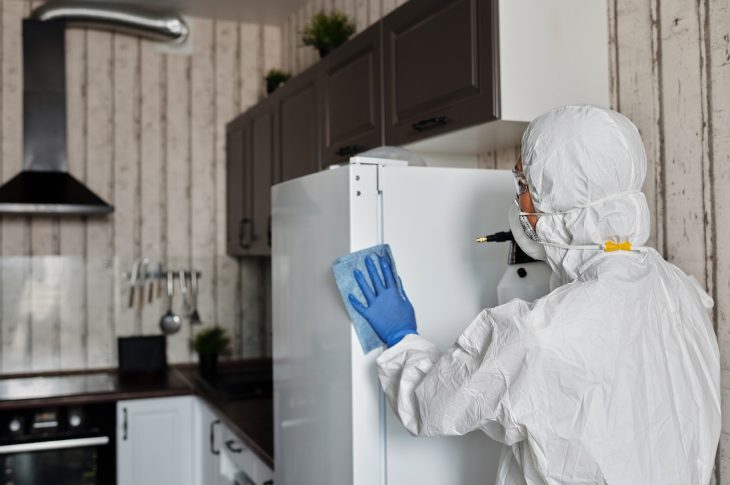 Désinsectisation à Marseille : comptez sur Eco Hygiène 3D !