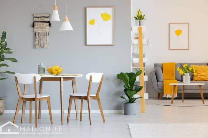 Décorer votre maison à budget réduit : conseils pour un intérieur beau et économique