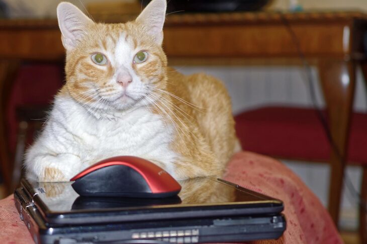Pourquoi remplacer des filtres à poussière des PC